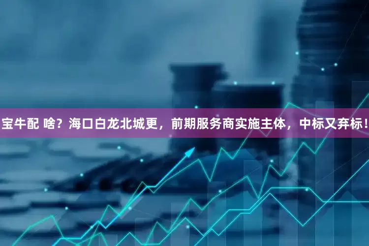 宝牛配 啥？海口白龙北城更，前期服务商实施主体，中标又弃标！