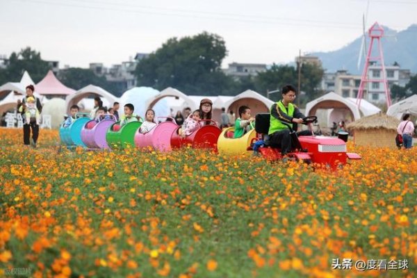 优配送 村超余温未减！榕江万亩硫华菊绽放，侗寨花海奏响深秋文旅狂想曲